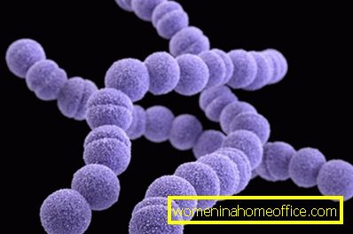 Микроорганизмите в нас: опасността от стрептококи?